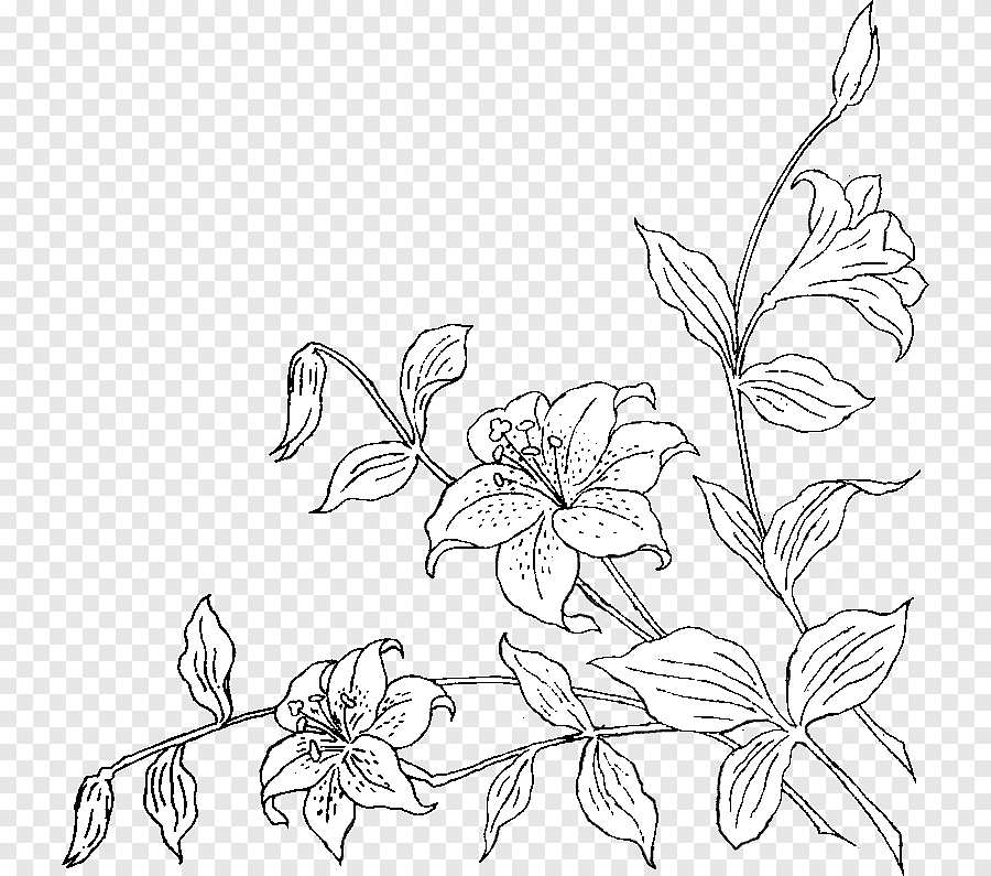 Floral line art